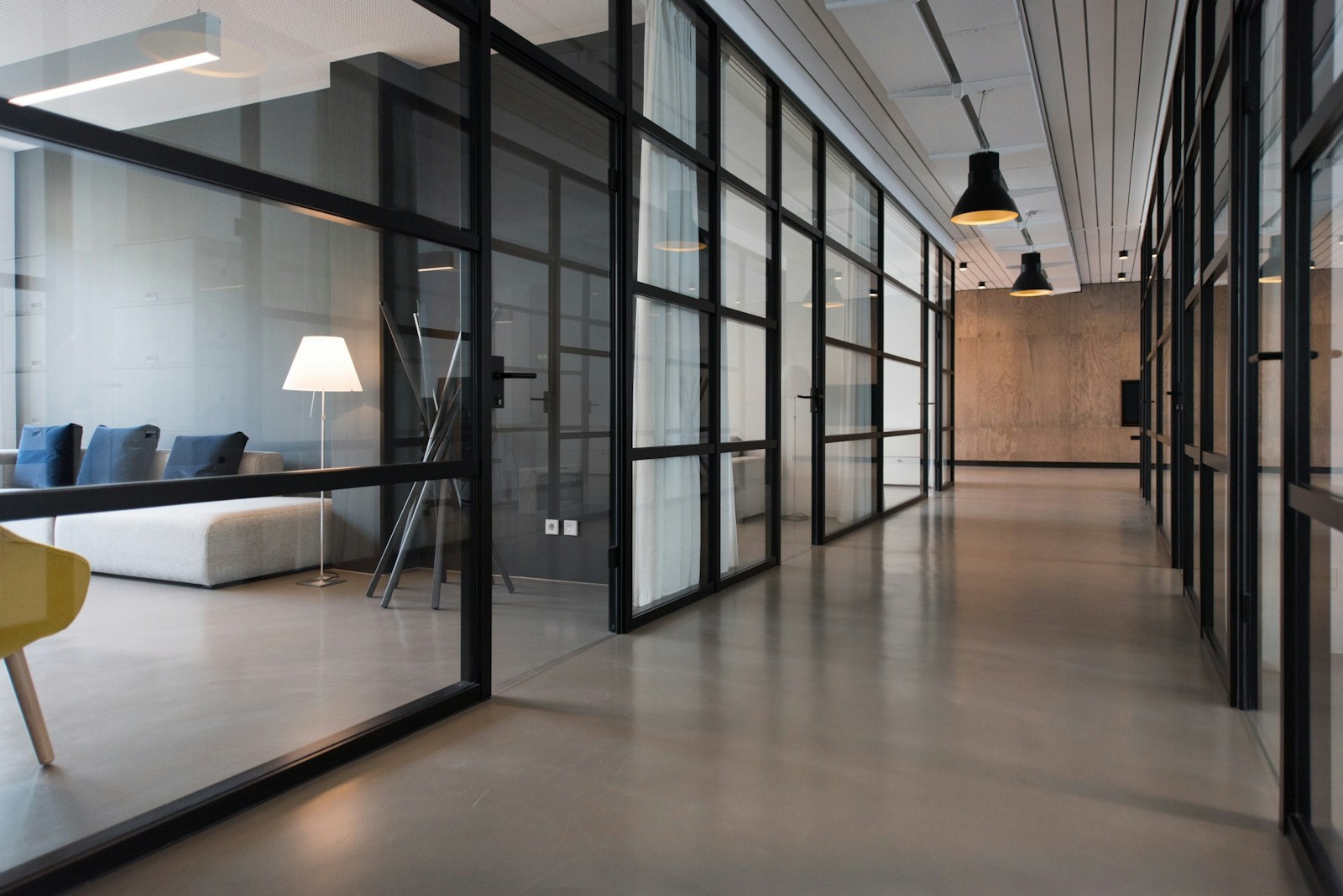 A bright, inviting workspace with plants and natural light